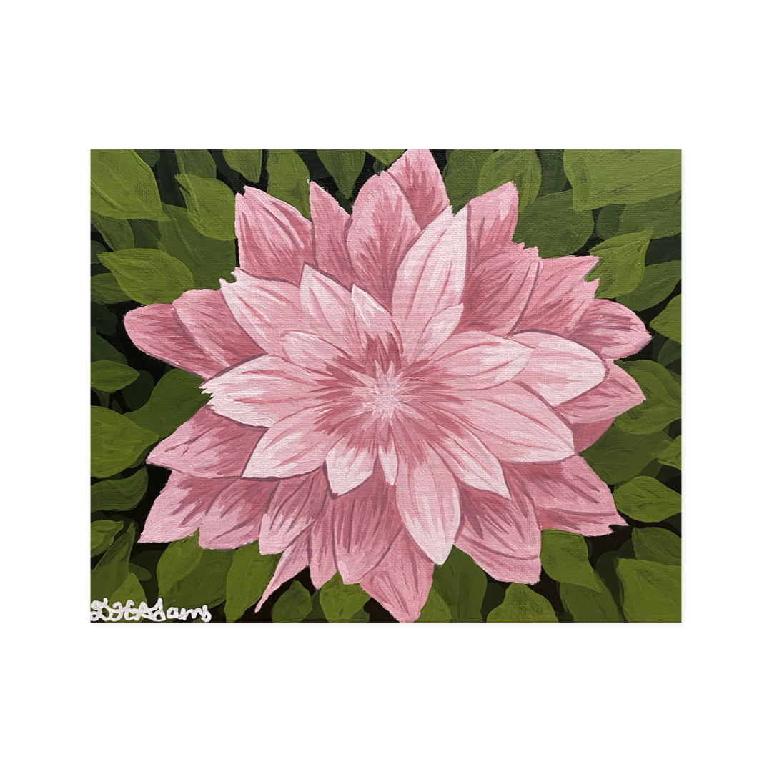 Blushing Bloom - Limited Edition Art Print