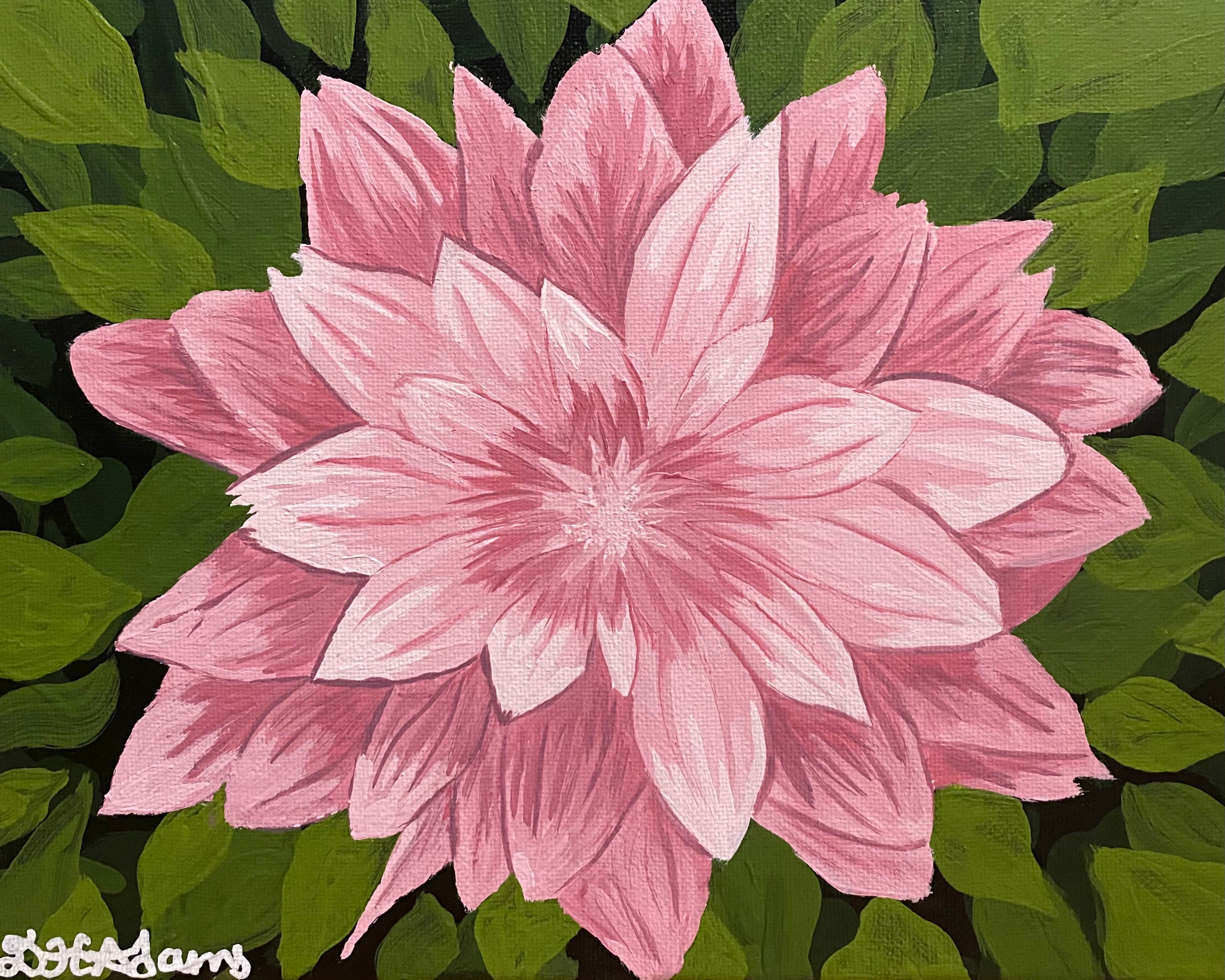 Blushing Bloom - Limited Edition Art Print